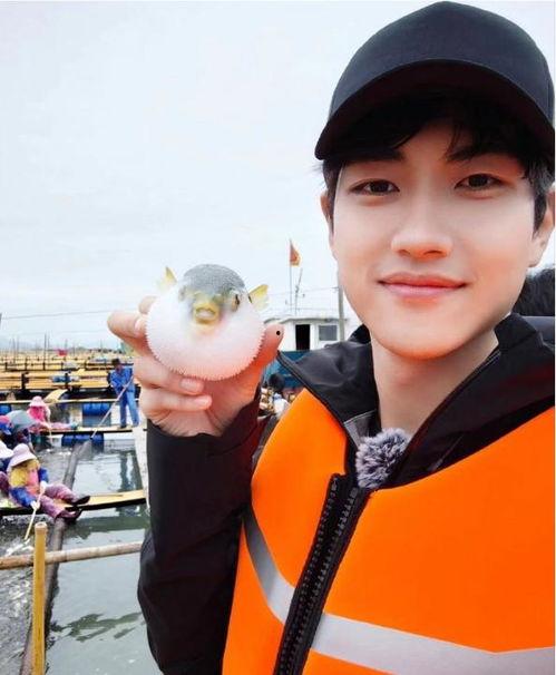 金莎小男友的爆料视频,甜蜜幕后故事大公开