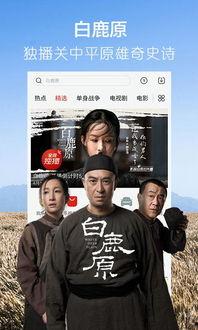 爆料男模餐厅视频大全下载,火爆视频大全下载，视觉盛宴一网打尽  第2张